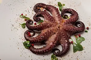 Cephalopod Cuisine Prints: Boiled octopus, close-up, rustic style