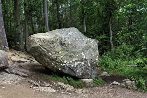 Danish Countryside Photography Prints: Boulder, boulder in the forest