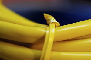 Computer Hardware Equipment Prints: Together bounded coloured network cable for computer
