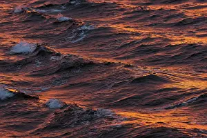Svalbard Archipelago Water Surface Prints: Bow waves in the evening light