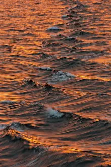 Svalbard Archipelago Water Surface Prints: Bow waves in the evening light