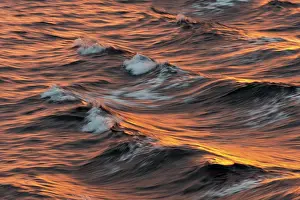 Svalbard Archipelago Water Surface Prints: Bow waves in the evening light