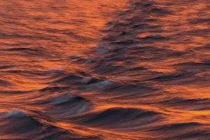 Svalbard Archipelago Water Surface Prints: Bow waves in the evening light