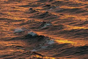 Svalbard Archipelago Water Surface Prints: Bow waves in the evening light