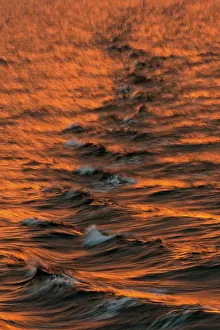 Svalbard Archipelago Water Surface Prints: Bow waves in the evening light