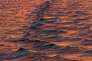 Northern Europe Waterfront Scene Prints: Bow waves in the evening light
