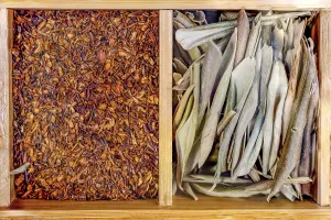 Vegan Diet Meal Ideas Prints: Box with set of different types tea