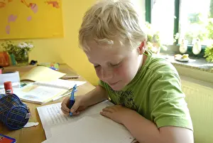 Pisa Province Schools Prints: Boy with the homework