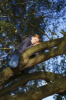 Young Boy Looking At Camera Prints: Boy sitting on tree, Wandersleben