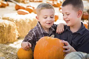 Pumpkin Patch Kids Prints: Two boys at the pumpkin patch talking about their pumpkins and having fun on a fall day
