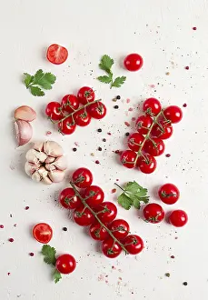 Top View Studio Shot Prints: Branch with mini cherry tomatoes