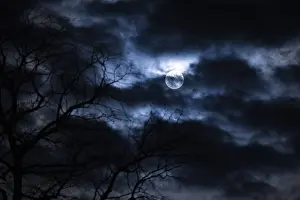 Cloudy Skies Europe Prints: Branches and clouds in front of full moon