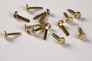 Office Supplies Prints: Brass fasteners