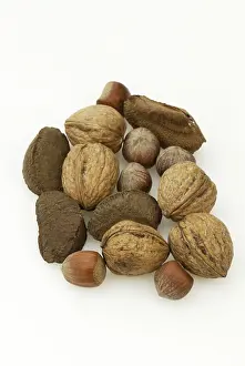 Deserted Food Photography Prints: Brazil nuts, hazelnuts and walnuts