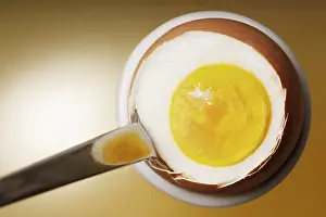Fried Egg Nutrition Facts Prints: Breakfast egg