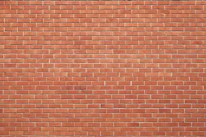 Uninhabited Brick Structure Prints: Brick wall