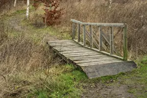 Scandinavian Forest Landscape Prints: Bridge in path over stream in forest in winter in Ystad