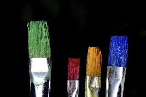 Diverse Art Supplies Prints: Bristle brushes