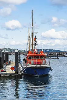 Devon Seaside Towns Prints: Brixham Harbour and Marina, Brixham