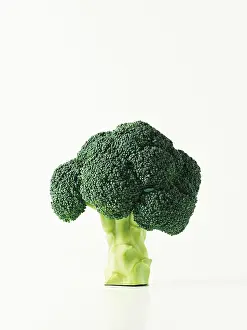 Brassicaceae Plant Prints: Broccoli