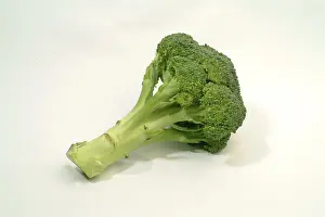 Close Up Broccoli Prints: Broccoli