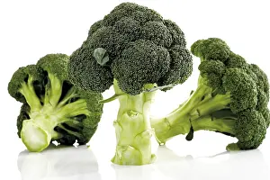 Fresh Produce Grocery Store Prints: Broccoli