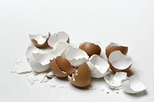 Empty Bowl Photography Prints: Broken eggshells