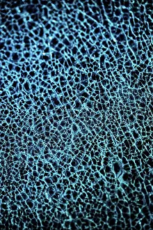 Deserted Full Frame Image Prints: Broken glass, background
