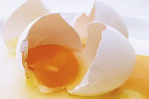 Still Life Studio Shot Prints: Broken open egg