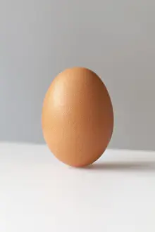 Copy Space Prints: A brown egg