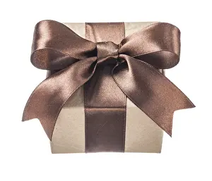 Decorative Gift Box Prints: Brown present box isolated on white