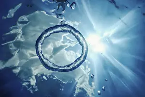 Deserted Underwater World Prints: Bubble Ring Underwater ascends towards the Sun