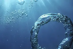 Underwater Photography Prints: Bubble Ring Underwater, Ring Bubble