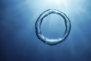 Bubble Ring Underwater Print