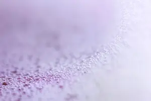 Filling The Format Picture Prints: Bubbles, lather, Germany