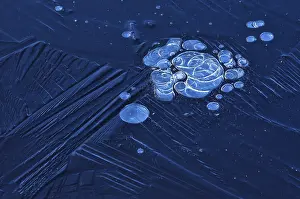 Air Bubble In Ice Prints: Bubbles and structure in ice