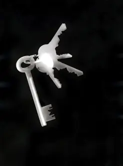 Bunch Of Keys Prints: Bunch of keys