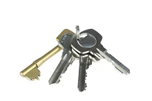Bunch Of Keys Prints: Bunch of keys