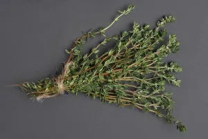 Fresh Thyme Prints: Bunch of thyme on black background, top view