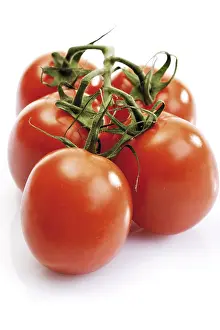 Fresh Tomatoes Prints: Bunch of tomatoes
