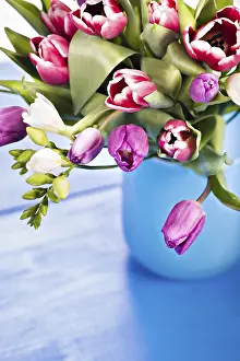 Decorative Tulips Prints: Bunch of tulips
