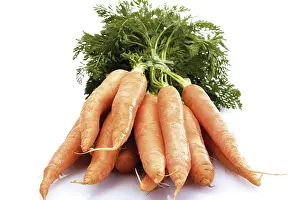 Fresh Vegetables Photography Prints: A bundle of carrots