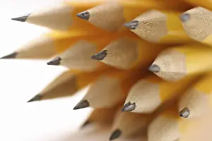 Office Supply Still Life Prints: Bundle of sharpened yellow pencils
