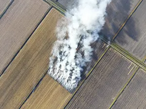Agrarian Landscape Photography Prints: The burning of rice straw in the fields
