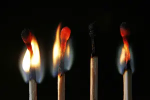 Close Up Flames Prints: Burning tinders