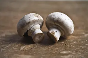 Edible Mushroom Prints: Button mushrooms