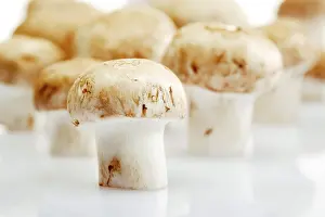 Button Mushrooms Prints: Button Mushrooms, Champignons (Agaricus)