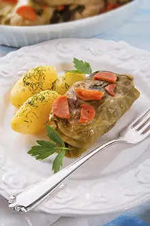 Light Colored Background Food Still Life Prints: Cabbage roll