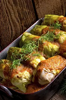 No People Grocery Store Prints: Cabbage rolls out young cabbage