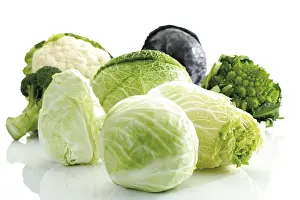 Healthy Eating Greens Prints: Cabbage varieties: Red Cabbage